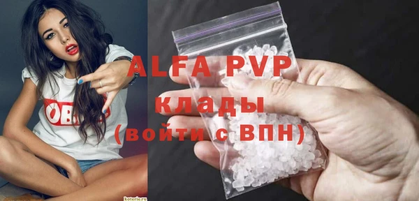 сатива Бородино