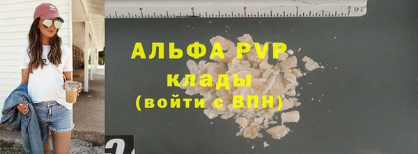 spice Богданович