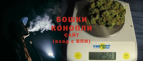 сатива Бородино
