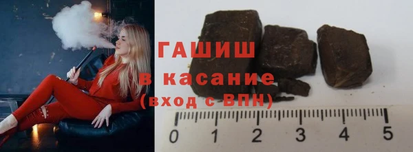 сатива Бородино