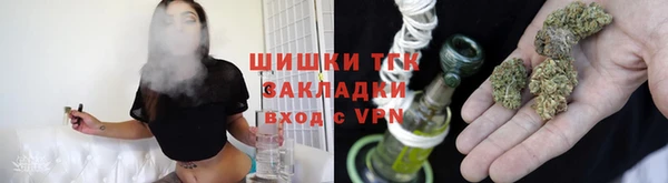 spice Богданович