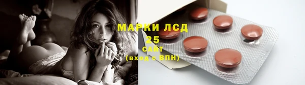 сатива Бородино