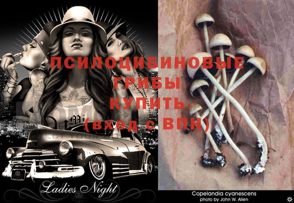 ПСИЛОЦИБИНОВЫЕ ГРИБЫ Бугульма
