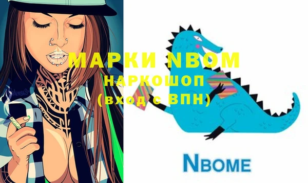 сатива Бородино