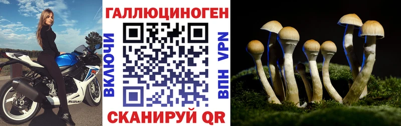 Купить  Дегтярск  Галлюциногенные грибы мицелий 