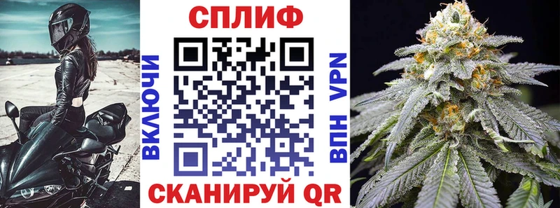 Купить закладки  Дегтярск  Каннабис ГИДРОПОН 